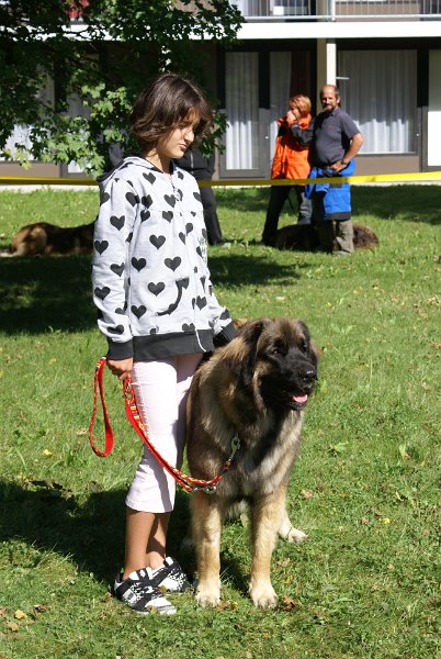 Nachzuchttreffen 08_08 049.jpg - Vivien mit Arwen